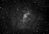 NGC7635-Hainfo.jpg