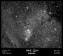 NGC2264wide.jpg